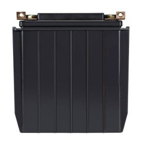 Odyssey Battery Extreme AGM Ready-to-Ride Power Sport Battery 220 CCA PC625