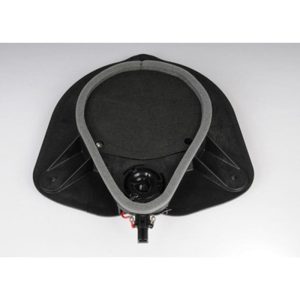 ACDelco Speaker 10366739
